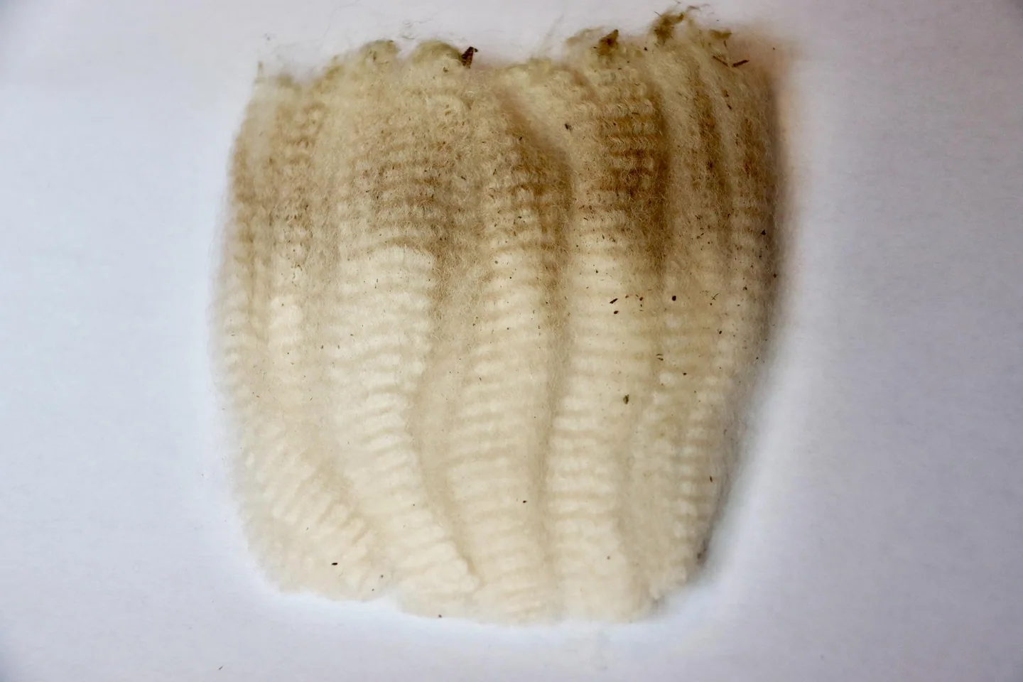 Light fleece staple structure — external visual reference