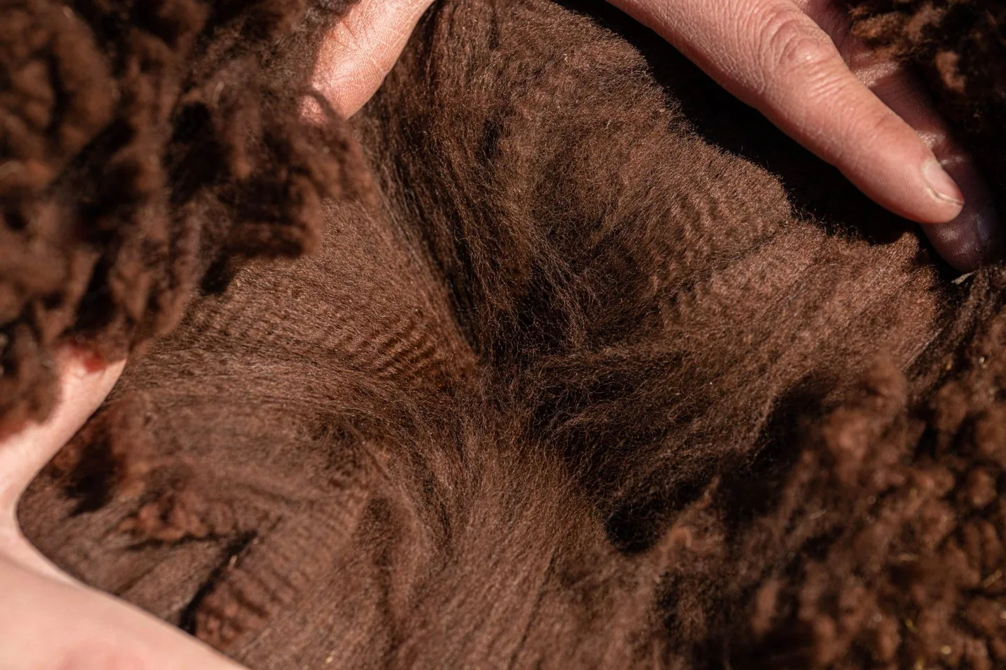 Dark fleece structure — external visual reference