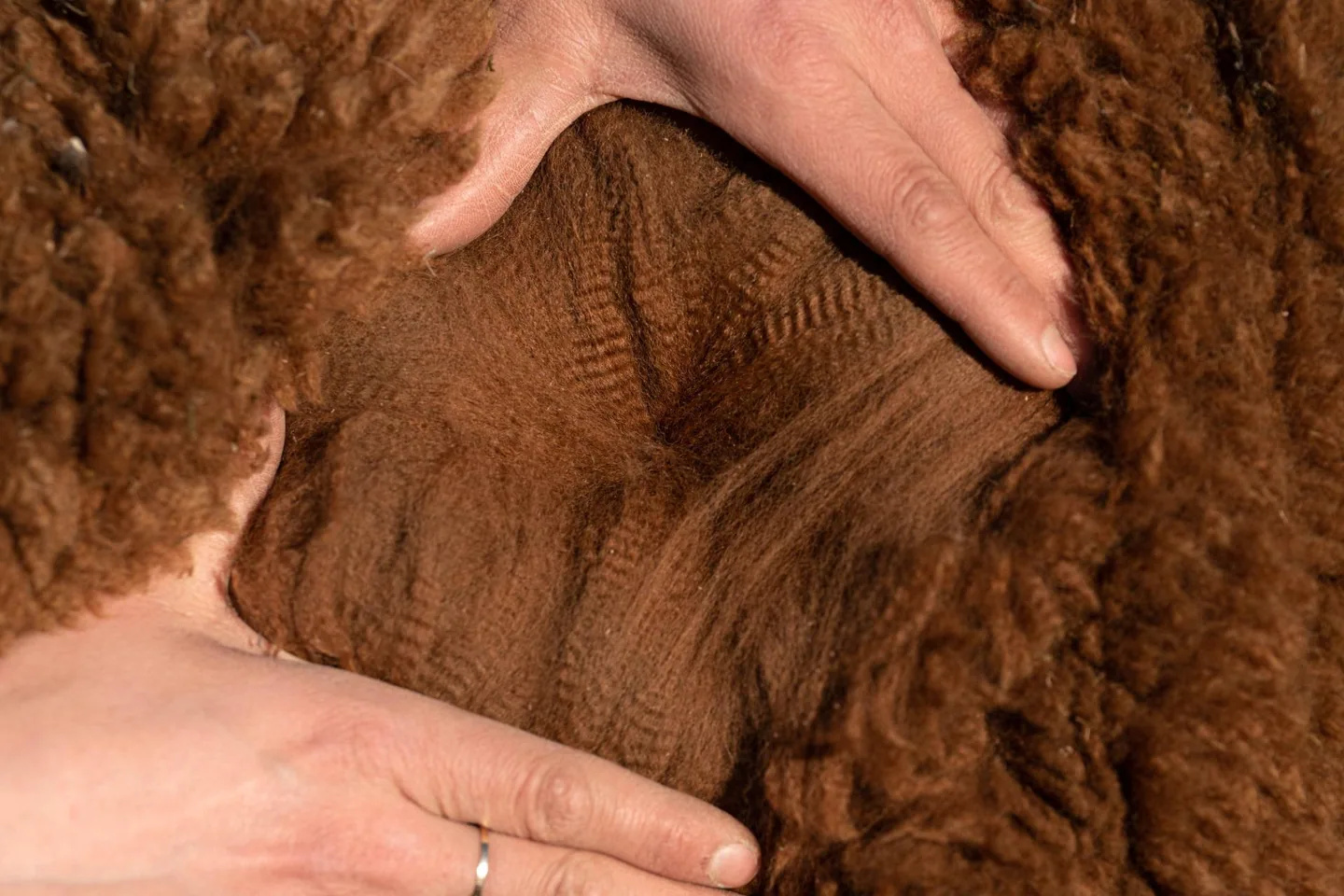 Brown fleece examined by hand — external visual reference
