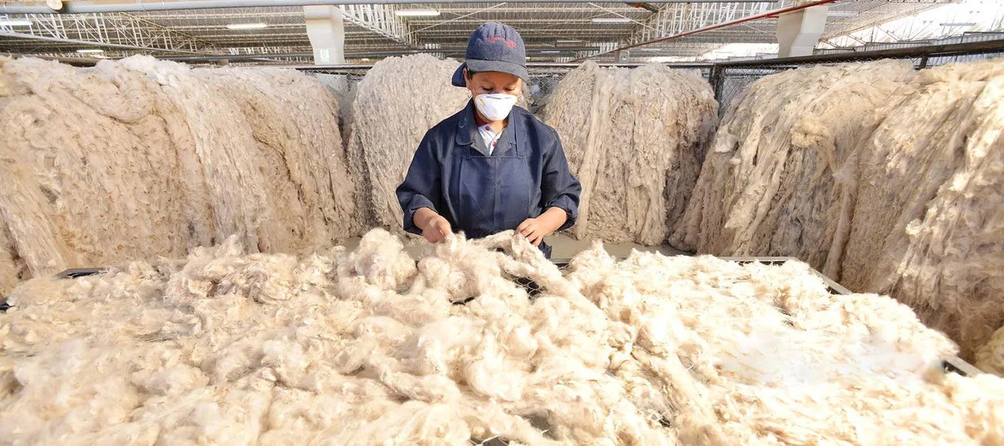 Fibre sorting at Inca Tops — external visual reference