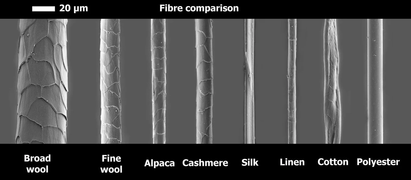 Fibre microstructure comparison — external visual reference