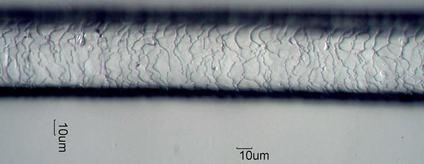 Alpaca cuticle and scale detail — external visual reference